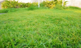 草草草视频,揭秘短视频背后的创作魅力