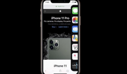 平果视频,揭秘短视频时代的魅力与挑战